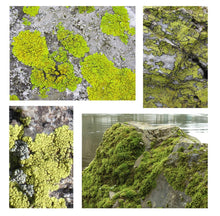 Load image into Gallery viewer, 1800 GSM Dark Wilderness Moss Hoodie with CRDLCK™
