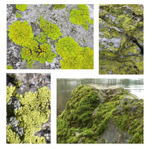 Load image into Gallery viewer, 900 GSM Light Wilderness Moss Hoodie with CRDLCK™
